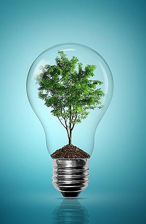 Simple changes can help you make senior living more ecologically friendly.