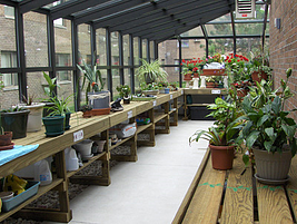 The greenhouse at Canterbury Court is a unique feature for an affordable living community.