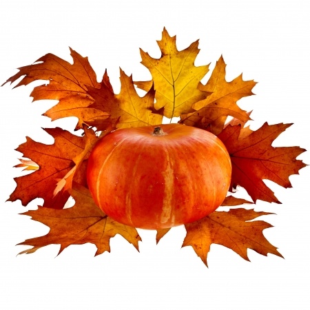 October pumpkin and leaves