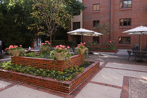 We'll be heading out to the patio for plenty of senior living activities this month