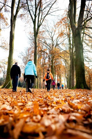 seniors-hiking-in-the-fall