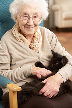 Senior woman holding a cat and sitting in a chair in her home