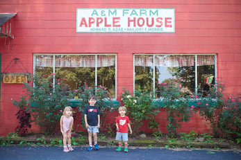 AM-Apple-Orchard-1.jpg