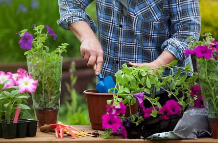 Gardening