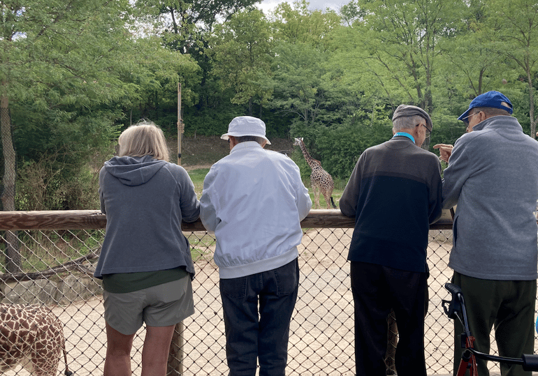 Group viewing giraffes at the Cincinnati Zoo.