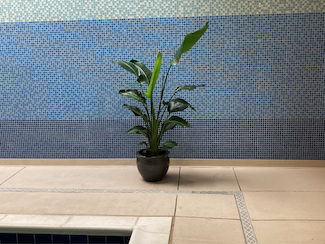 Beautiful plants in the wellness center pool area at Marjorie P. Lee