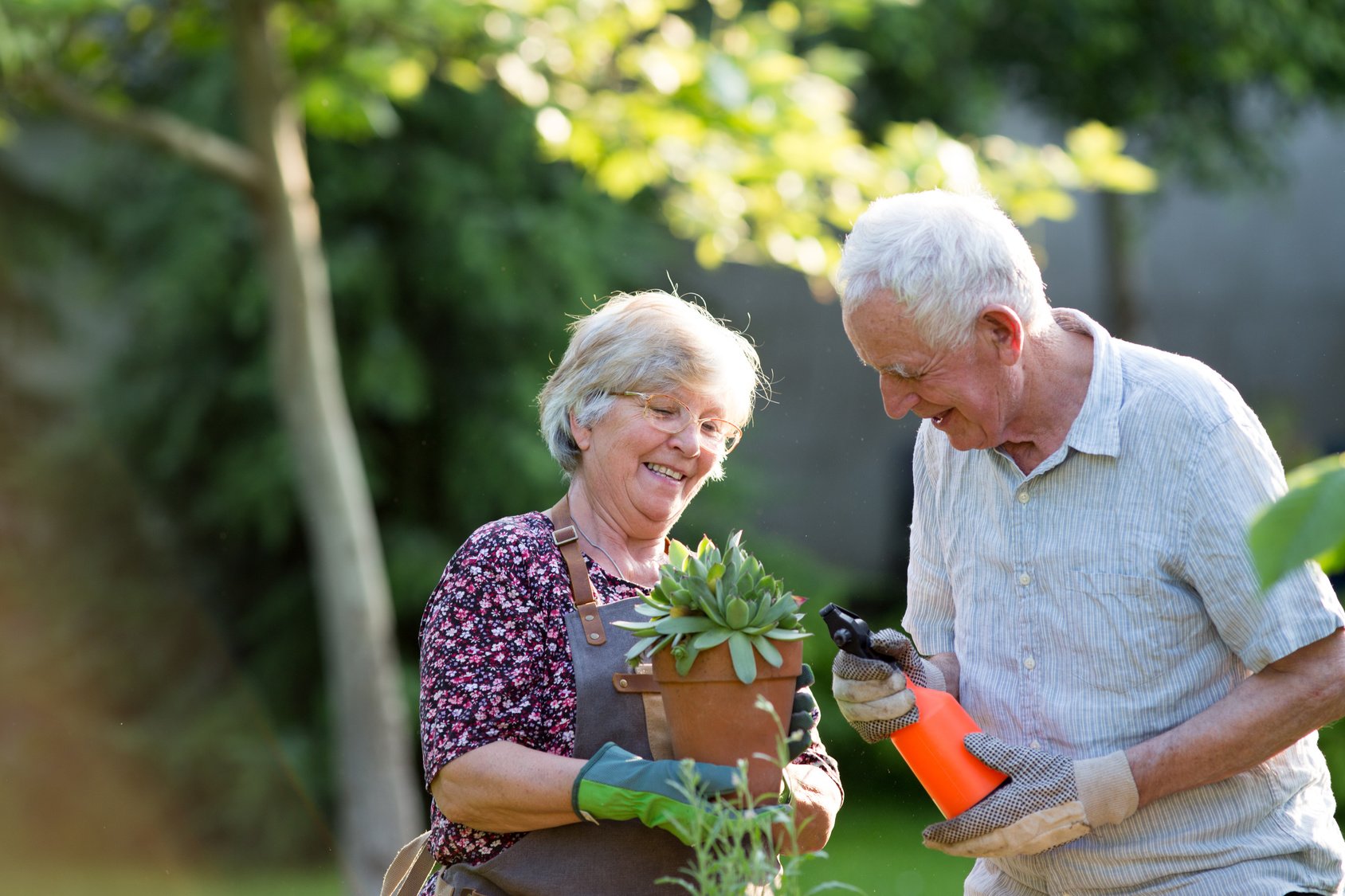 Why It's Important for Seniors to Stay Active This Summer