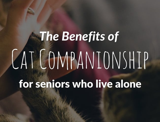 Cat_Companionship_seniors