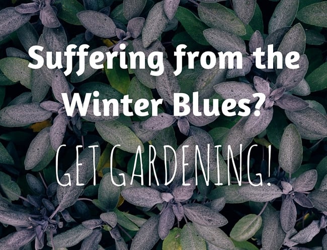 Get_Gardening
